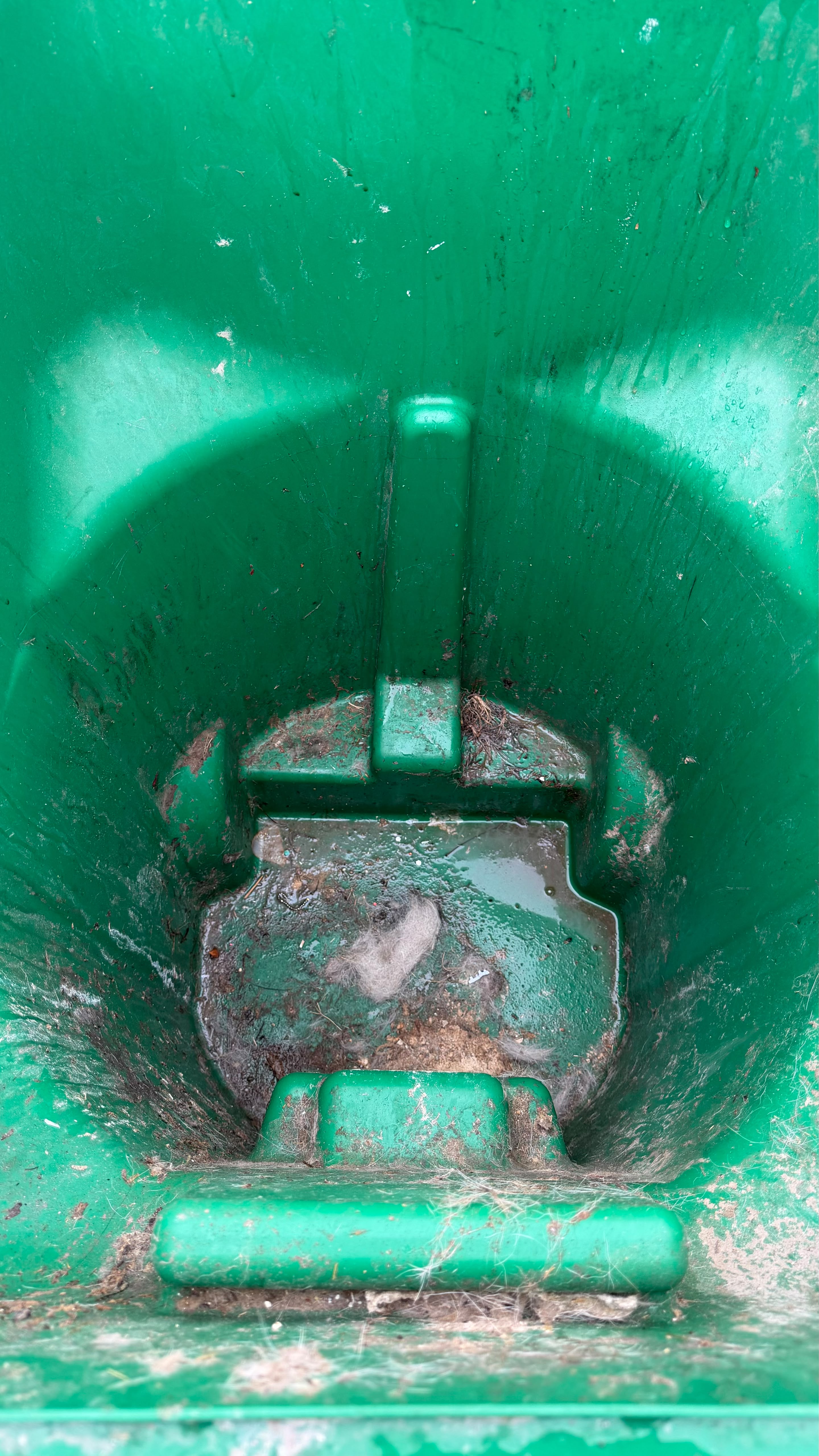 Green trash bin covered in grime before professional cleaning
